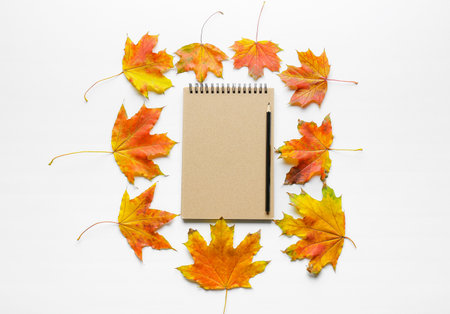 Beautiful autumn composition with leaves and notebook on white backgroundの写真素材