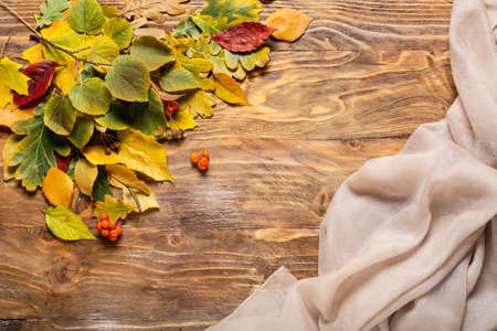 Beautiful autumn composition on wooden backgroundの写真素材