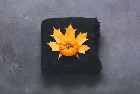 Beautiful autumn composition with plaid on dark background