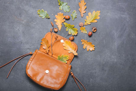Beautiful autumn composition with bag on dark backgroundの写真素材
