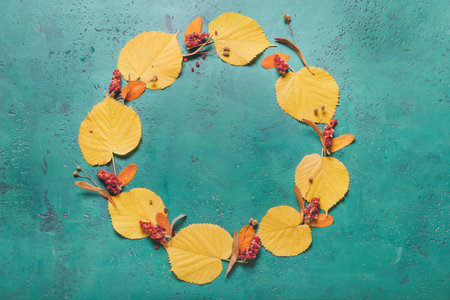 Beautiful autumn composition on color backgroundの写真素材