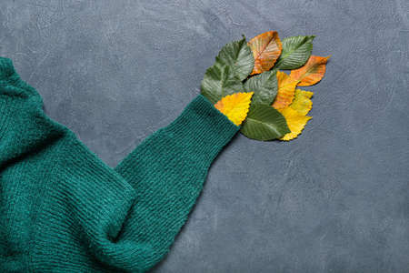 Beautiful autumn composition with clothes on dark background