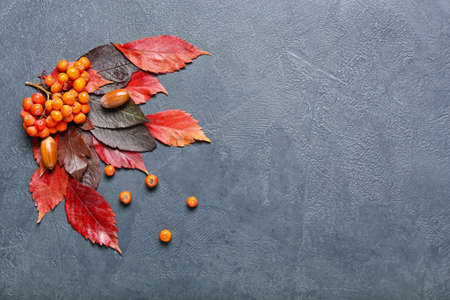 Beautiful autumn composition on dark background