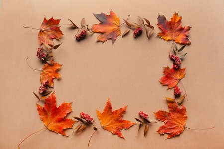Frame made of autumn leaves on color background