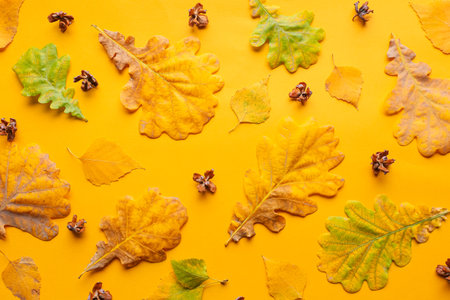 Bright autumn leaves on color background