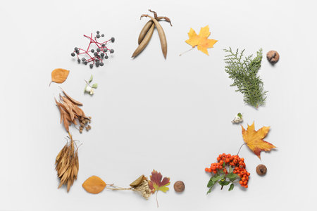 Beautiful frame made of autumn leaves on white backgroundの写真素材