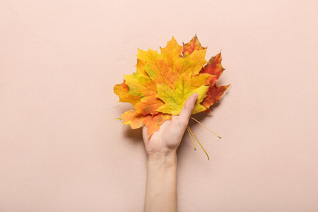 Hand with autumn leaves on color backgroundの写真素材