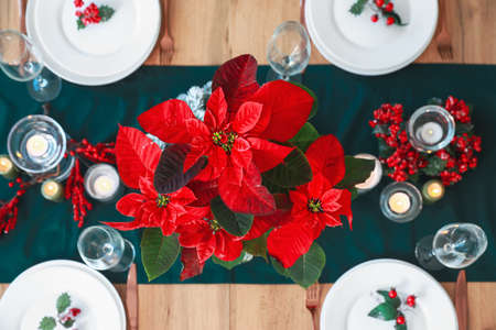 Christmas table setting with poinsettia in living roomの写真素材