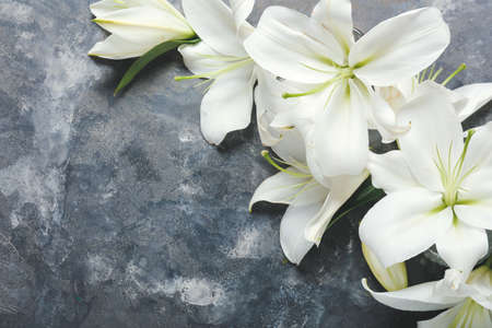 Beautiful lilies on dark background
