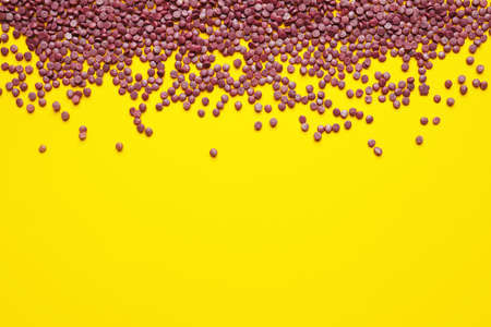 Sweet sprinkles on color backgroundの写真素材