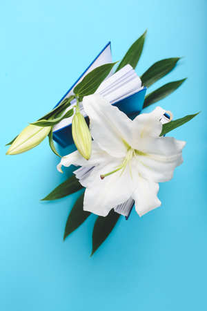 Books with beautiful lily flowers on color background