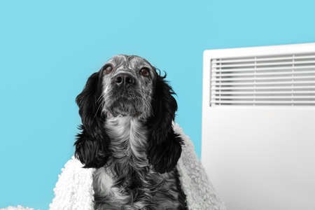 Cute dog with warm plaid and electric convector heater on color background. Concept of heating...