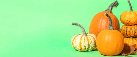 Different ripe pumpkins on color background with space for textの写真素材