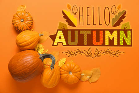 Beautiful greeting card with text HELLO AUTUMNの写真素材