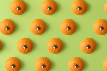 Fresh pumpkins on green backgroundの写真素材