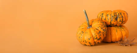 Ripe pumpkins on orange background with space for textの写真素材