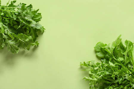 Fresh arugula on color backgroundの写真素材