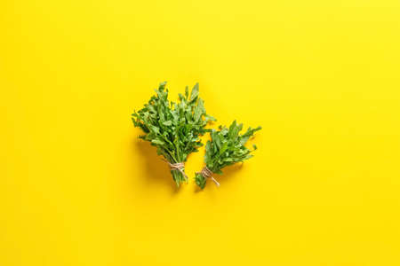 Bunches of fresh arugula on color backgroundの写真素材