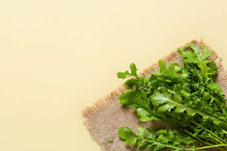 Fresh arugula on color backgroundの写真素材