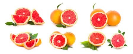 Set of fresh grapefruits on white backgroundの写真素材