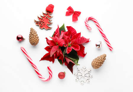 Composition with Christmas plant poinsettia and decor on white backgroundの写真素材
