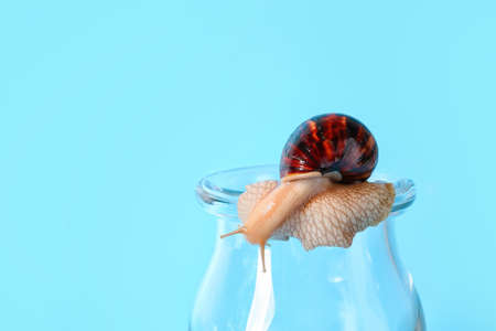 Jar with snail on color backgroundの写真素材