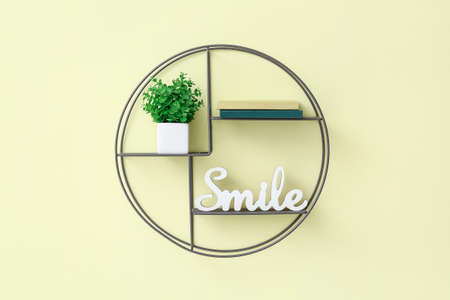 Shelf with books, plant and decor hanging on color wallの写真素材