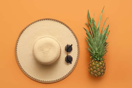 Stylish hat, sunglasses and pineapple on color background
