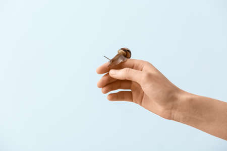 Hand with snail on light backgroundの写真素材