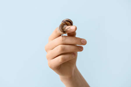 Hand with snail on light background