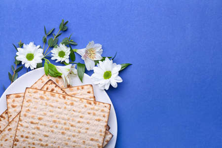 Plate with Jewish flatbread matza for Passover and flowers on color background