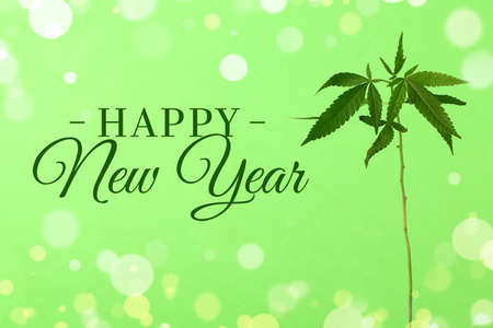 Creative greeting card for Happy New Year with hemp plantの写真素材