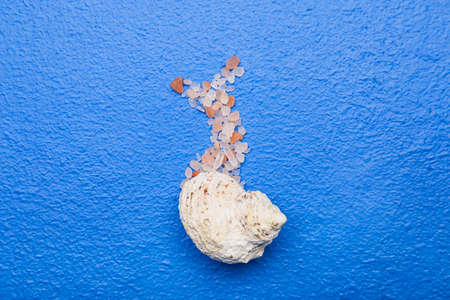 Snail made of seashell and sea salt on color background