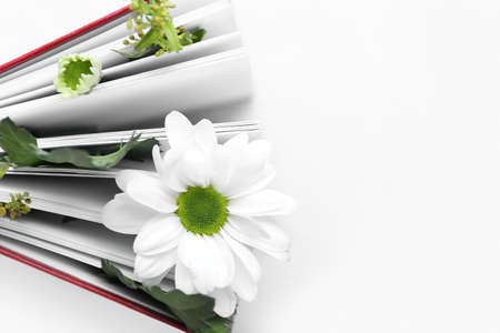 Book with floral decor on white backgroundの写真素材