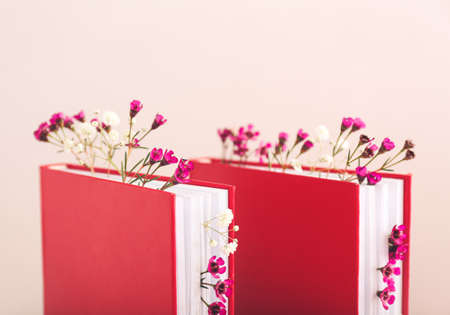 Books with fresh flowers on color backgroundの写真素材