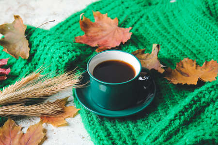 Beautiful autumn composition with cup of coffee and clothes on light backgroundの写真素材