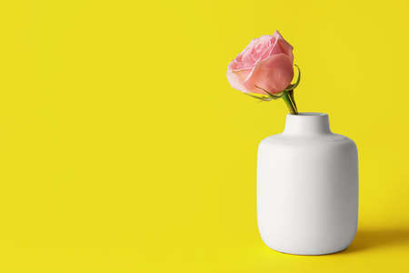 Beautiful pink rose in vase on color backgroundの写真素材