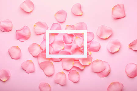 Beautiful pink rose petals and blank frame on color backgroundの写真素材
