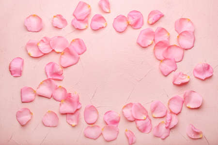 Frame made of beautiful pink rose petals on color background