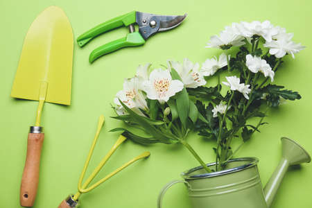Spring flowers and gardening supplies on color backgroundの写真素材