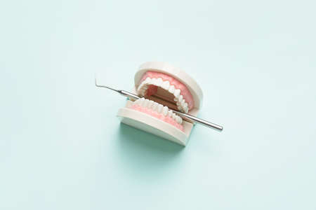 Dentist's scaler with jaw model on color background