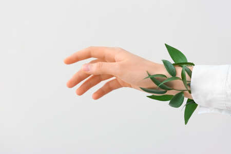 Female hand with green leaves on light backgroundの写真素材
