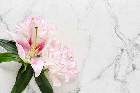 Beautiful lilies on light background