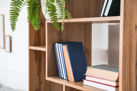 Shelf unit with books in interior of room, closeupの写真素材