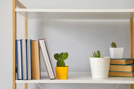 Shelf unit with books in interior of roomの写真素材