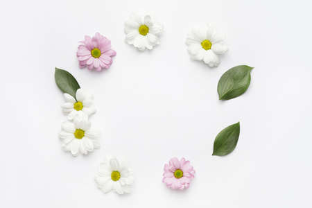Frame made of beautiful flowers on white background