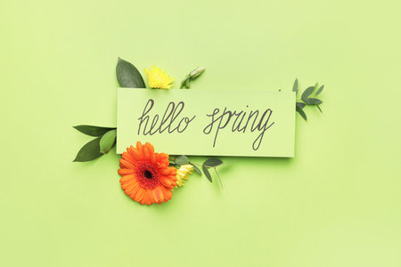 Beautiful flowers and card with text HELLO SPRING on color background
