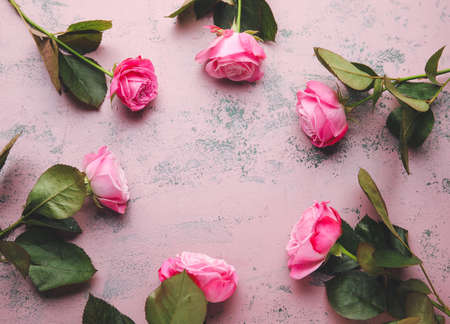 Frame made of beautiful pink roses on color backgroundの写真素材