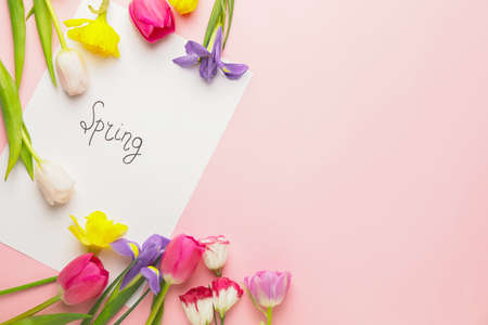 Beautiful flowers and paper with text SPRING on color background