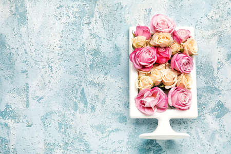 Composition with beautiful roses on color backgroundの写真素材